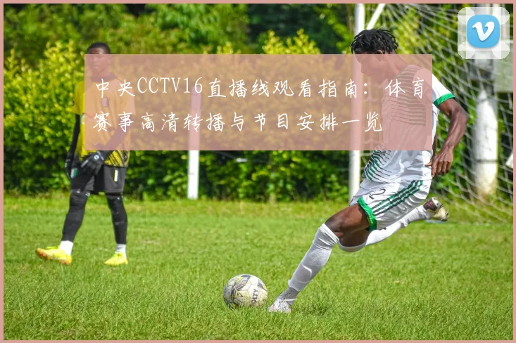 中央CCTV16直播线观看指南：体育赛事高清转播与节目安排一览