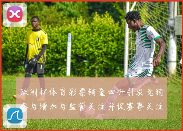 欧洲杯体育彩票销量回升引发竞猜参与增加与监管关注并促赛事关注度回升